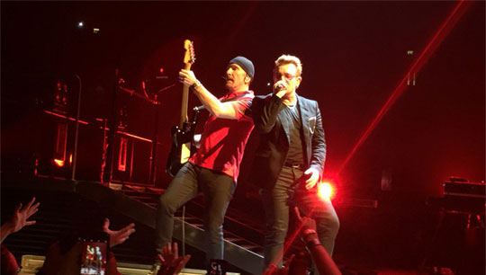 Bild zu: Vierte Nacht in London mit All I Want Is You